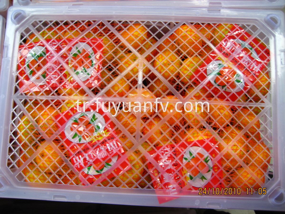 1kg*9bags baby mandarin